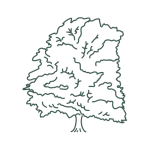 Dedham Parish Council logo